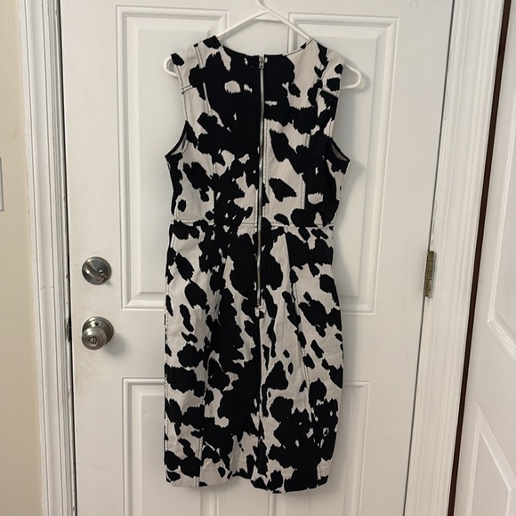 Diane Von Furstenburg Cow Calliope Cotton Sheath Dress sz medium - Picture 5 of 8